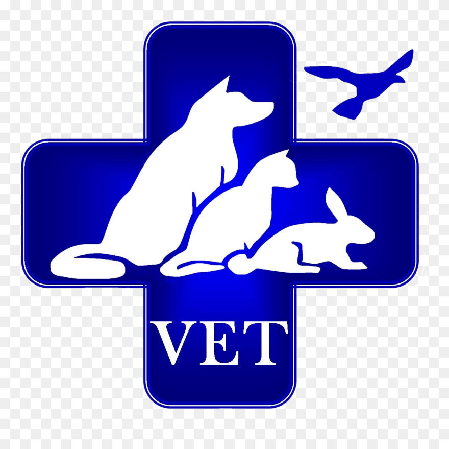 My Image - Cartoon Clipart