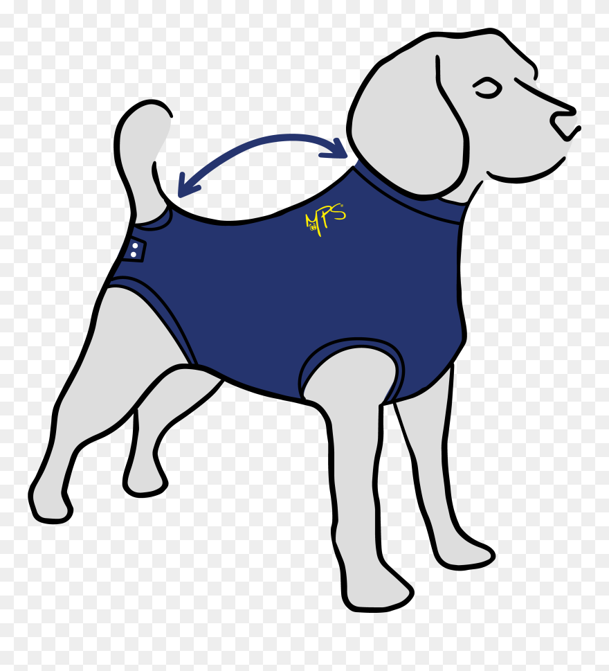 Dog Catches Something Clipart