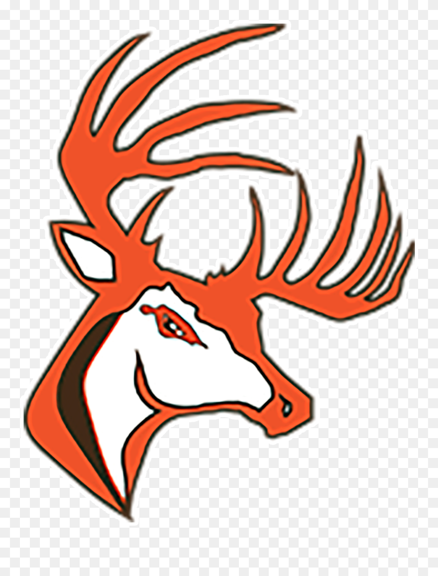 Buckeye Clip Art - Png Download