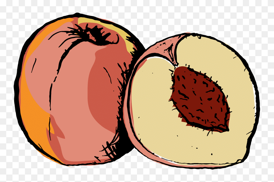 Clip Art - Png Download