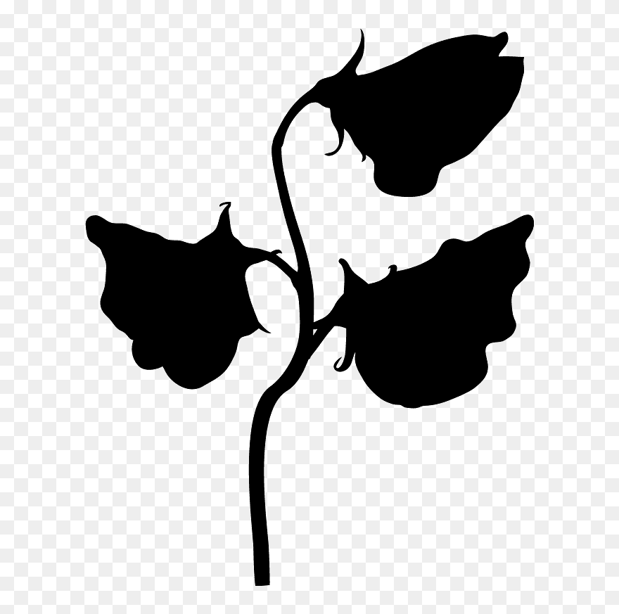 Sweet Pea Clipart Svg - Png Download