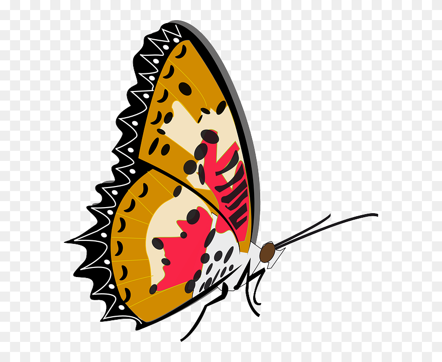 Butterfly, Insect, Animal - Mother And Baby Butterfly Insect Clipart