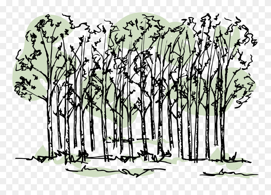 Illustration Clipart