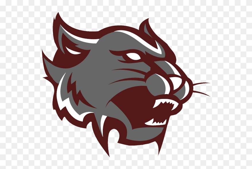 Wildcat - Mt Vernon High School Clipart