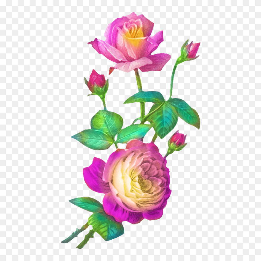 Rosen Vintage Gif Clipart