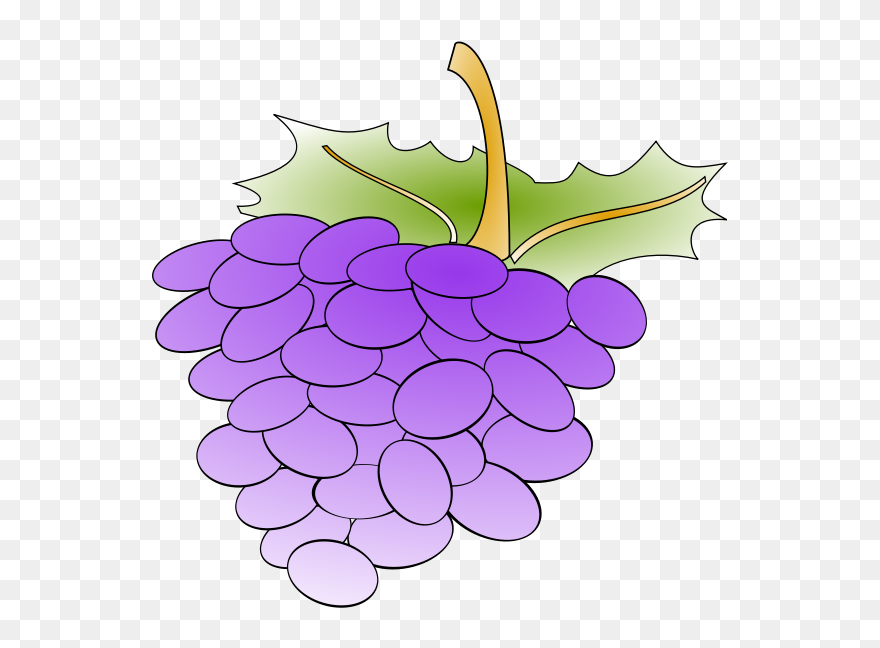 Grapes - Cartoon Grapes Clipart