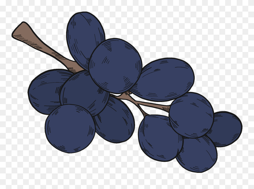 Seedless Fruit Clipart