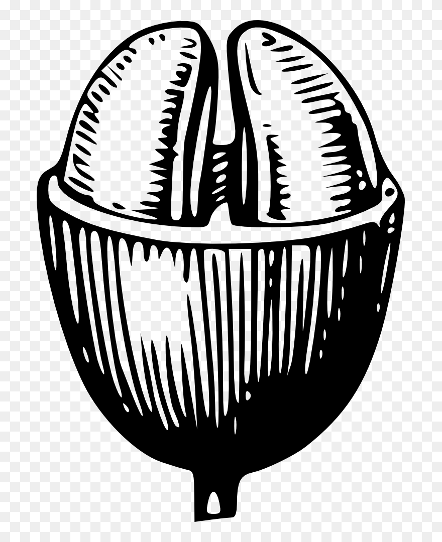 Onlinelabels Clip Art - Vector Coffee Beans Illustration - Png Download