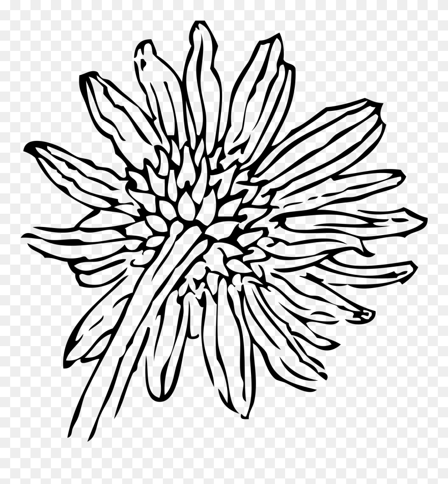 Sunflower Clip Art - Png Download