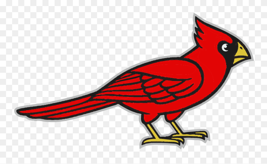 Silueta De Cardenal Pájaro Clipart