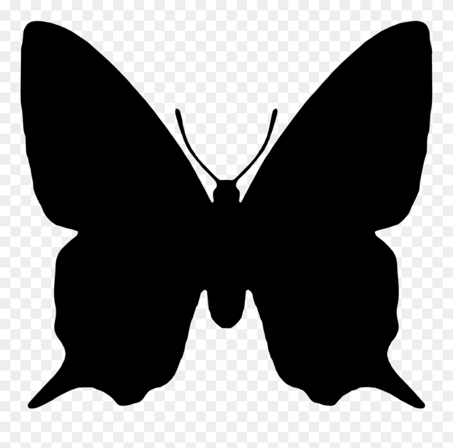Butterfly Black And White Clipart Shape - Butterfly Shape Png Transparent Png