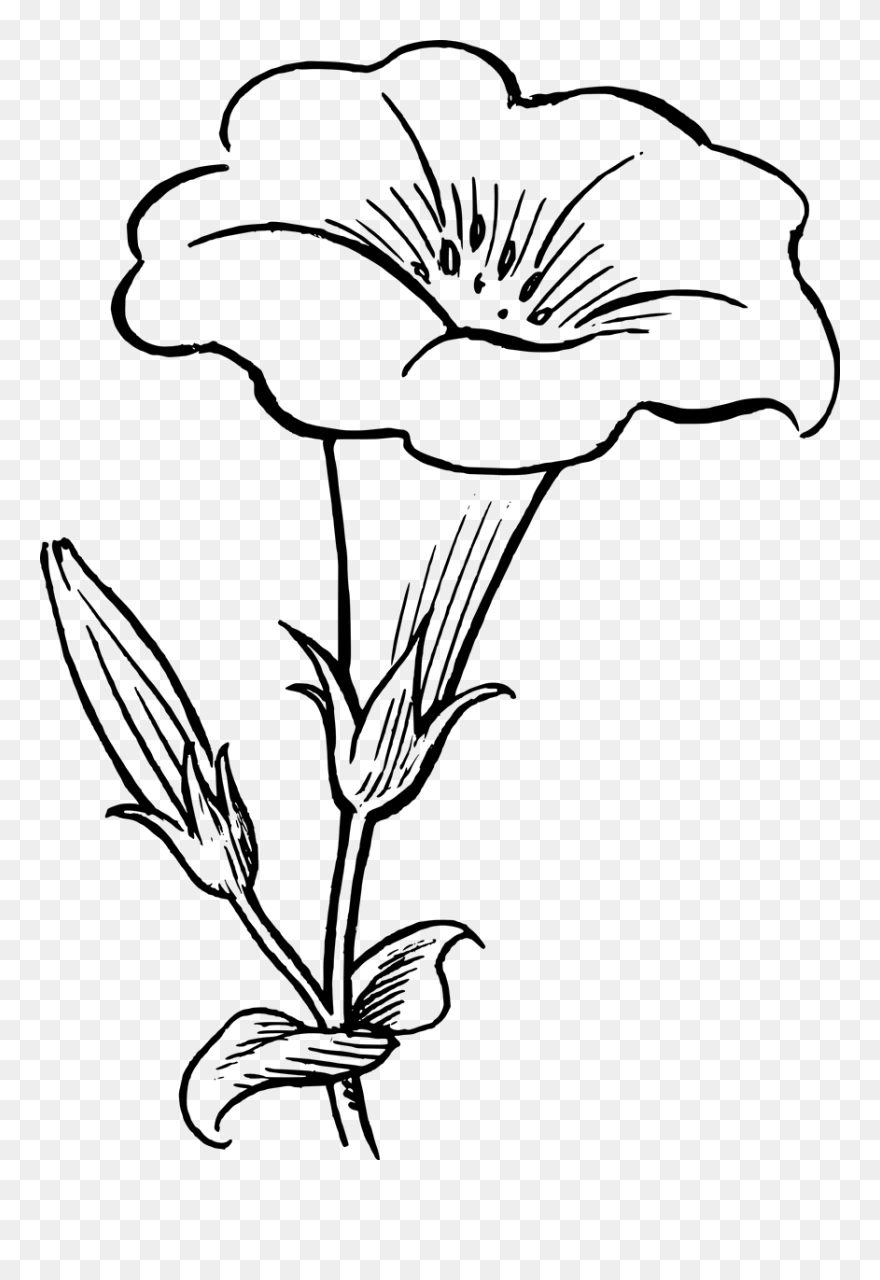 Flower Art Black And White Clipart