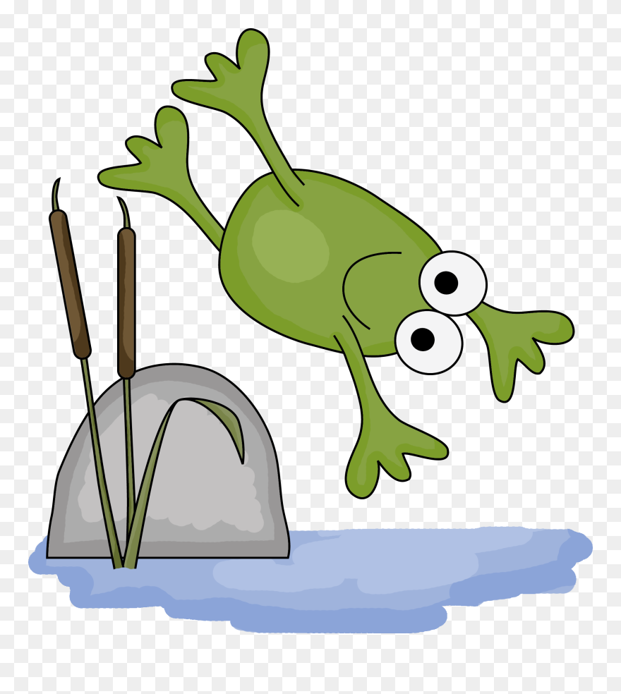 First Grade Amphibians Worksheet Clipart