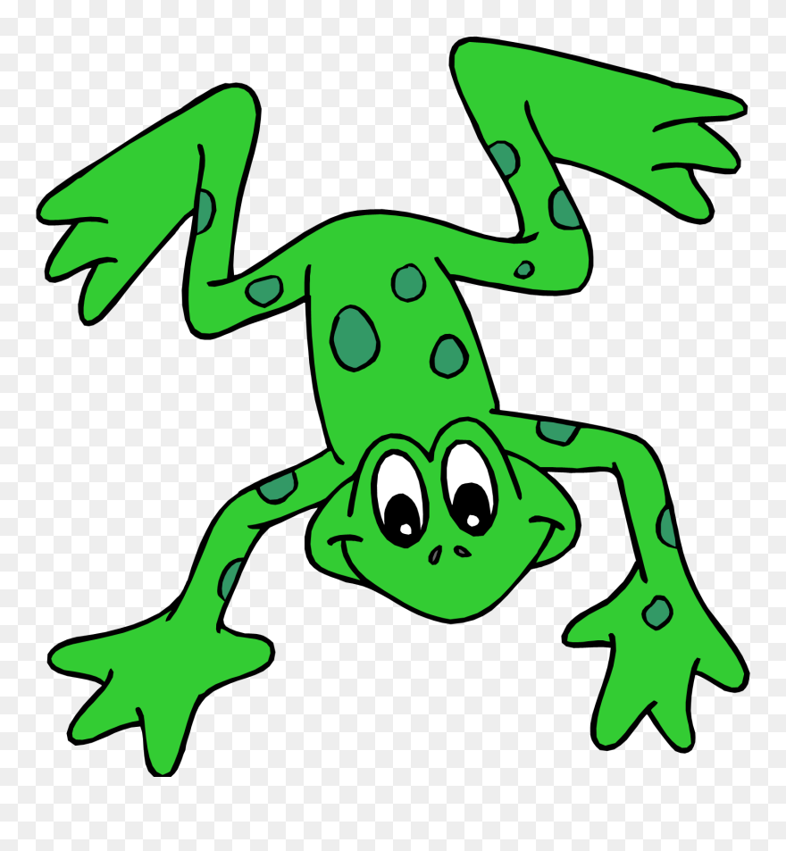 Png Stock Cute Hopping Frog Clipart - Read Write Inc Fred Frog Transparent Png