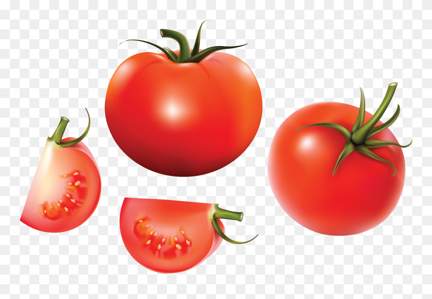 Tomato Soup Euclidean Vector Vegetable - Tomato Vector Clipart