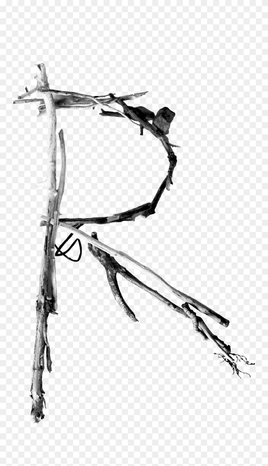 Driftwood Designinquiry - Sketch Clipart