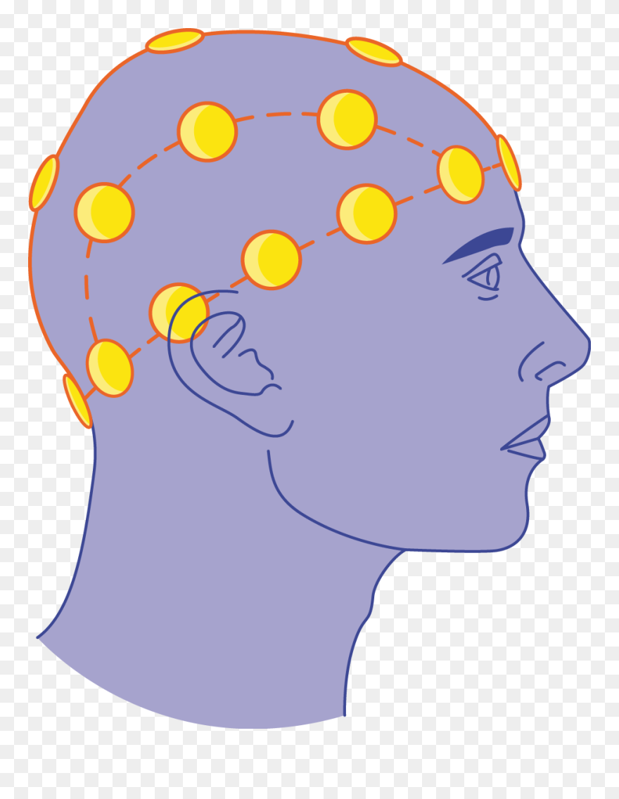 Electroencephalogram Clipart - Png Download