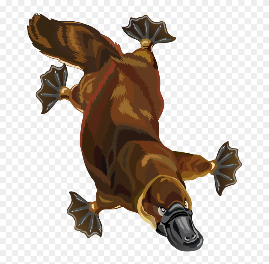 Free To Use Amp Public Domain Small Mammals Clip Art - Clip Art - Png Download