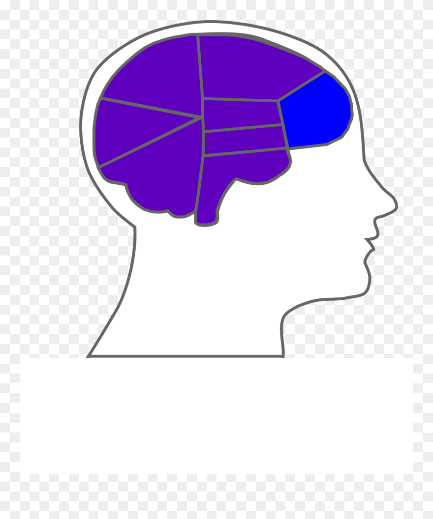 Clip Art - Png Download