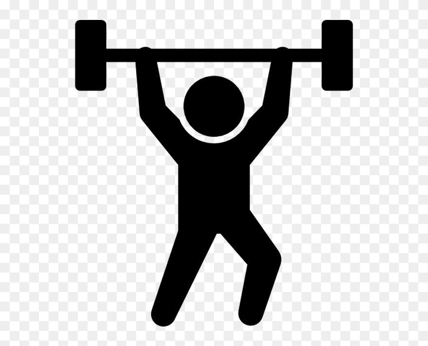 Fitness Centre Weight Training Physical Fitness Exercise - Weight Training Clipart