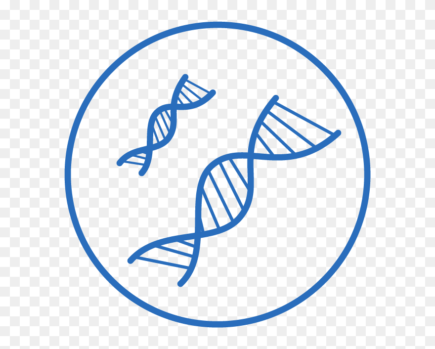 Clip Art - Png Download