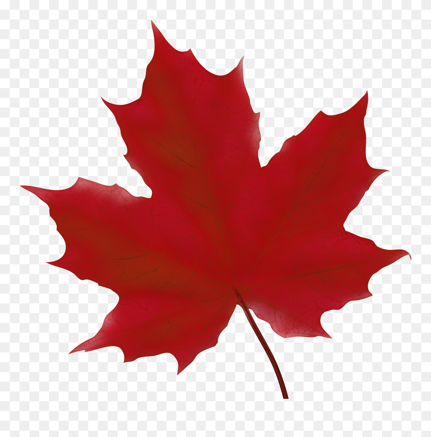 Pot Leaf Clipart - Png Download