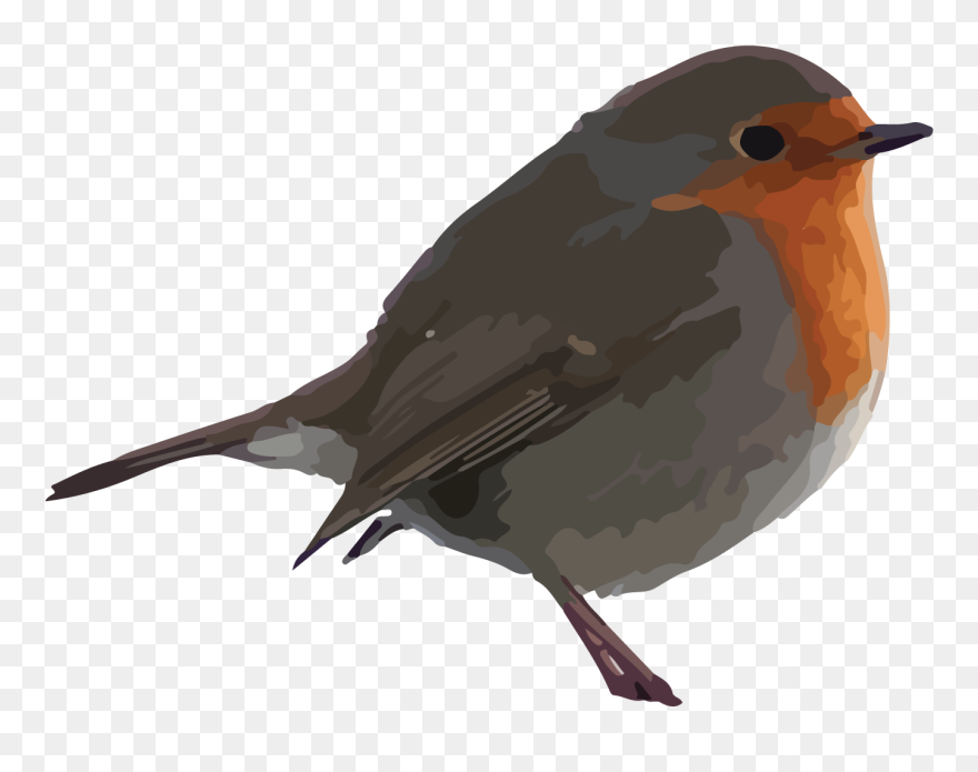 Free Bird Clipart - Robin Clipart - Png Download