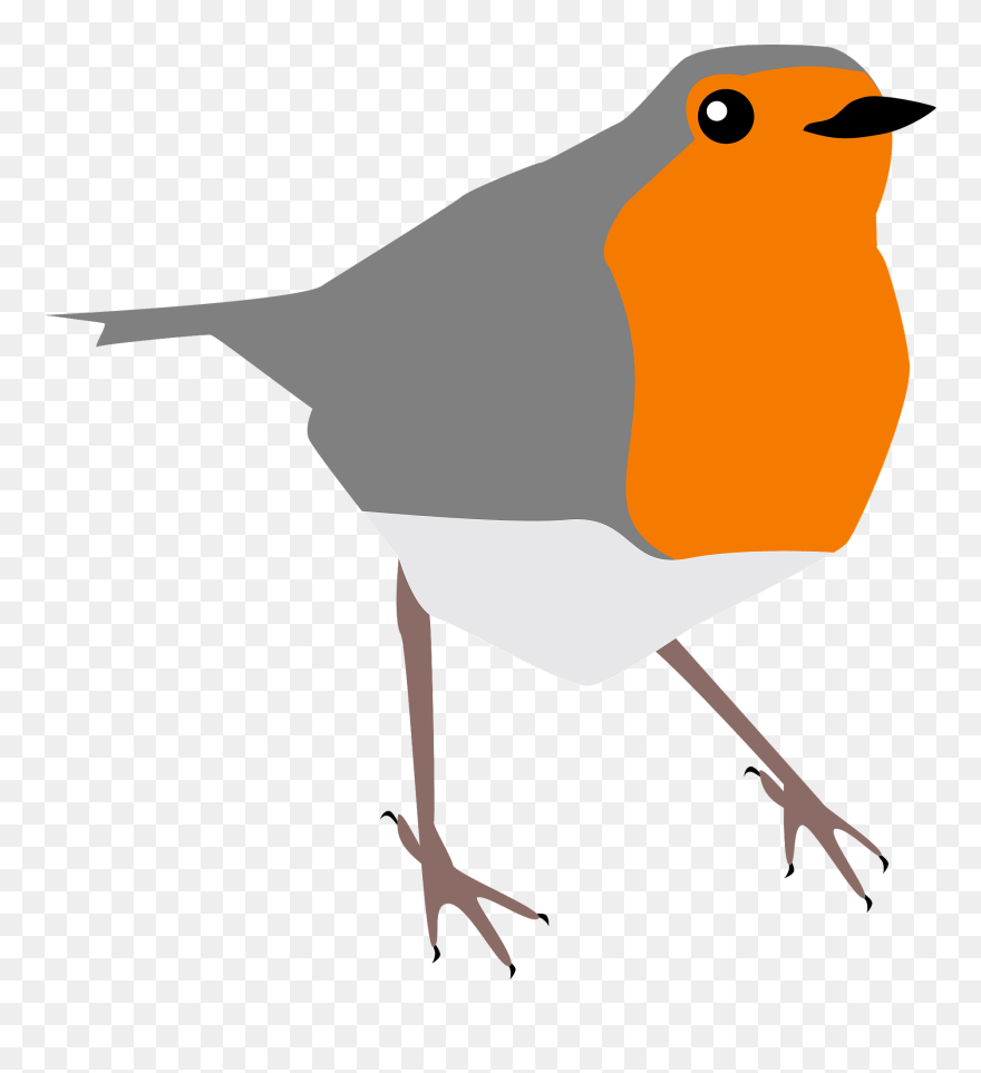 Robin Clip Art - Png Download