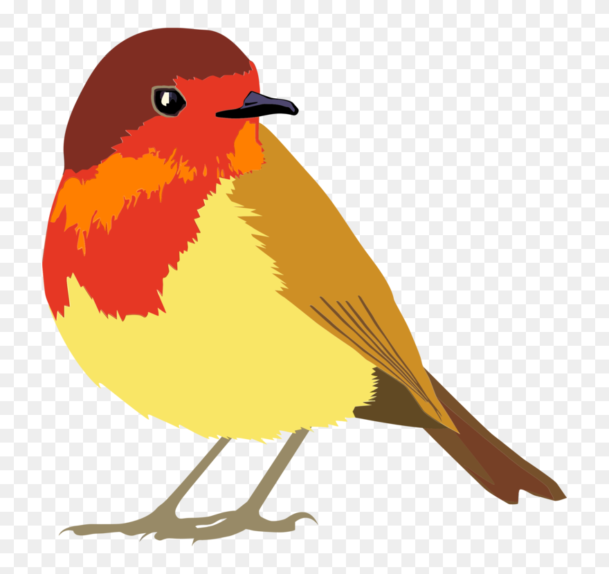 Old World Flycatcher,european Robin,wing - Robin Bird Clipart Png Transparent Png