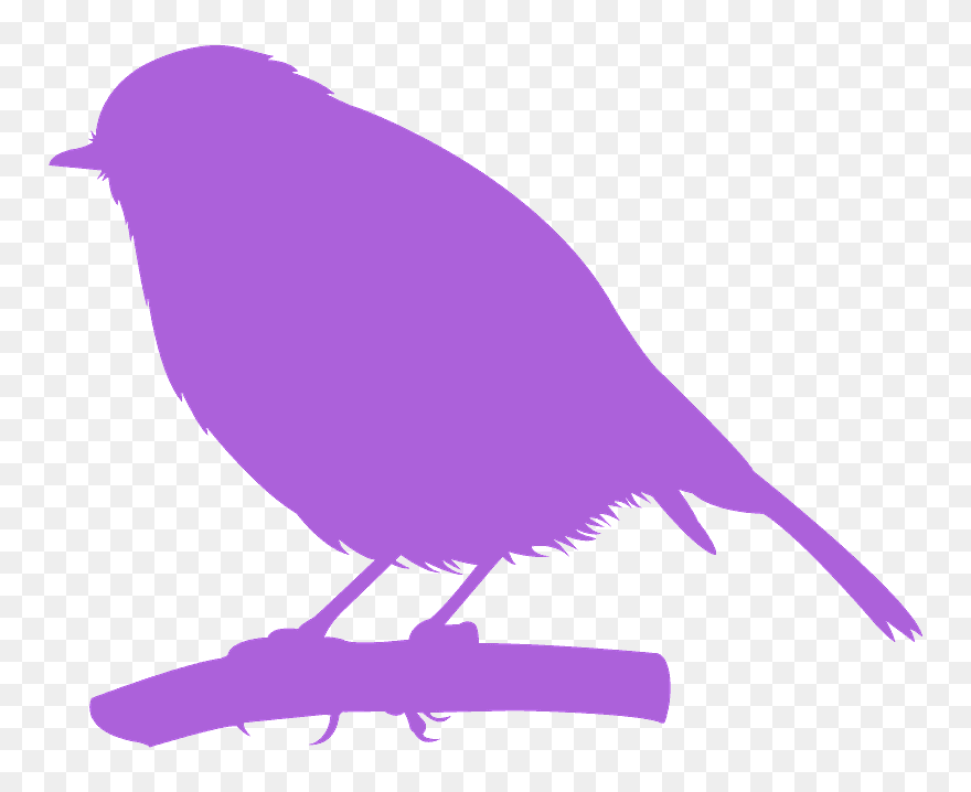 Perching Bird Clipart