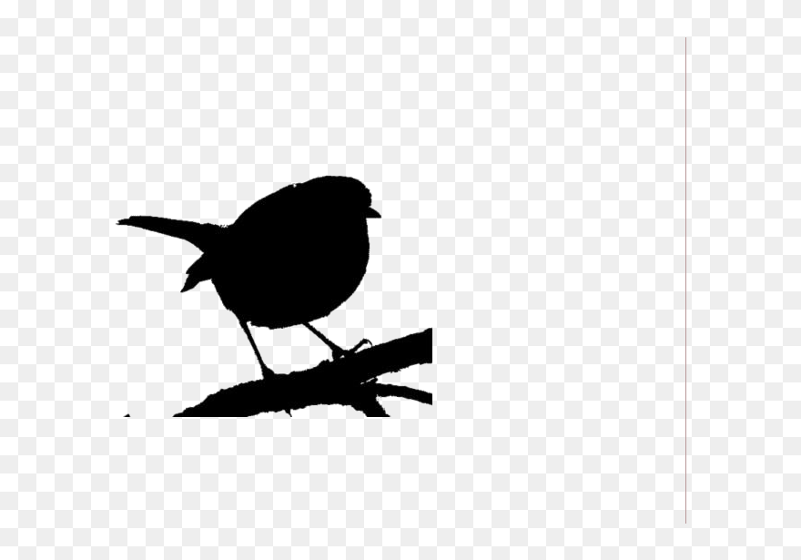 Transparent Robin Bird Clipart - Portable Network Graphics - Png Download