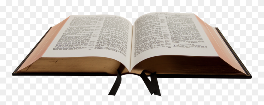 Bible Holy Text Study Translations Religious Trinity - Transparent Open Bible Png Clipart