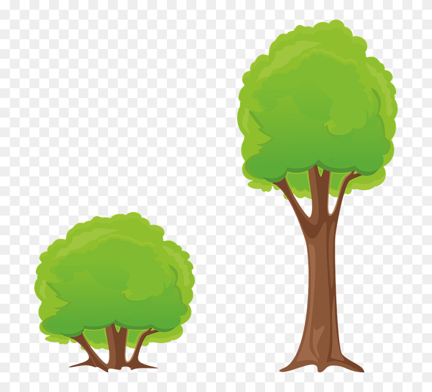Tree Bush Clipart - Tree And Shrub Clipart - Png Download
