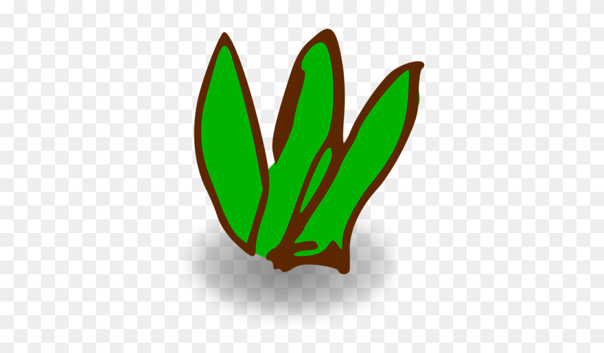 Small Bush Clipart - Clip Art Small Bush - Png Download