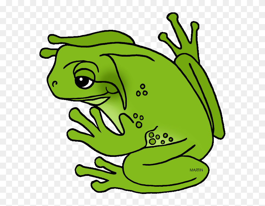 Georgia State Amphibian - Green Tree Frog Clipart - Png Download