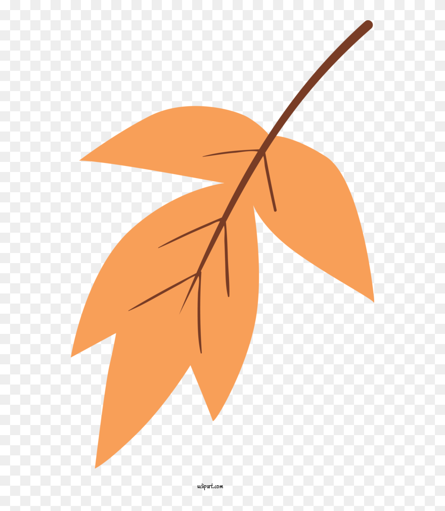 Transparent Nature Leaf Orange Line For Leaf For Nature Clipart