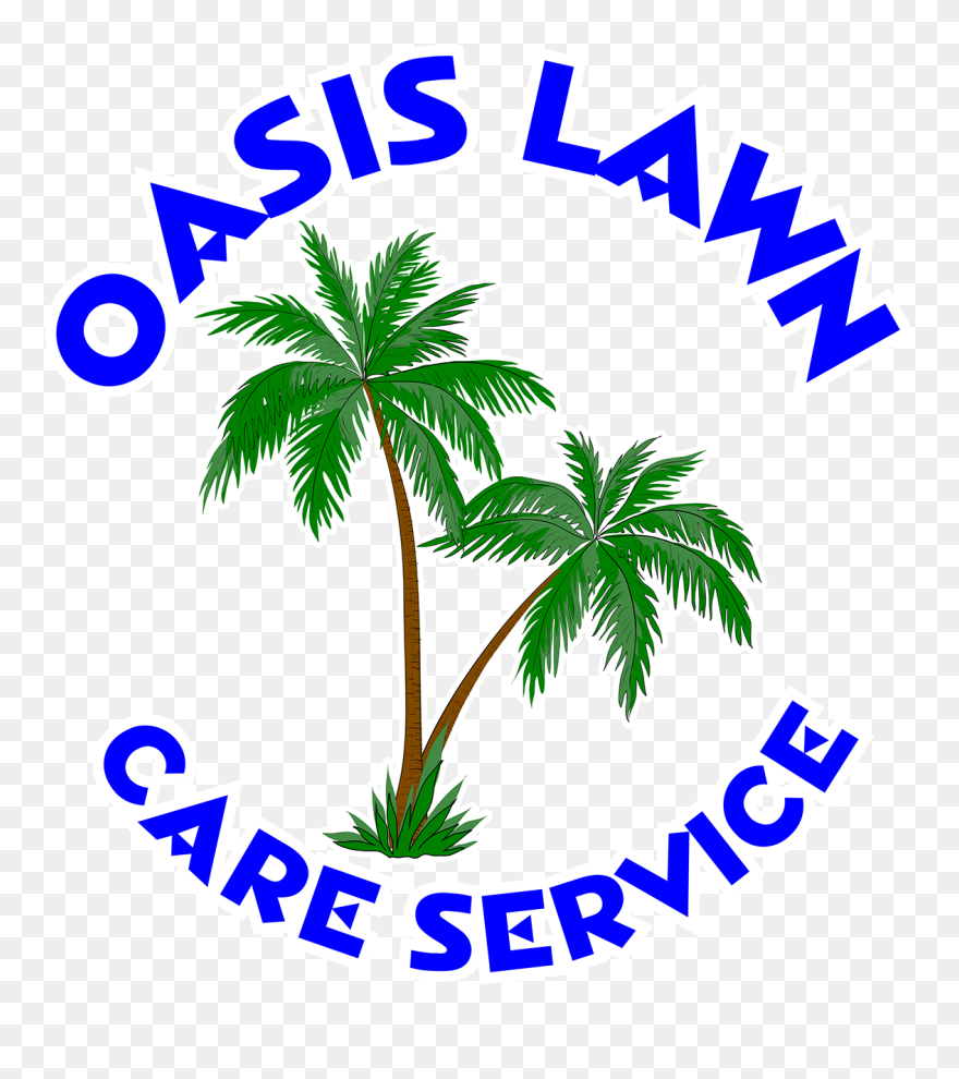 Attalea Speciosa Clipart