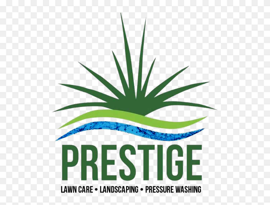 Prestige Lawn Care & Landscaping - Agave Clipart