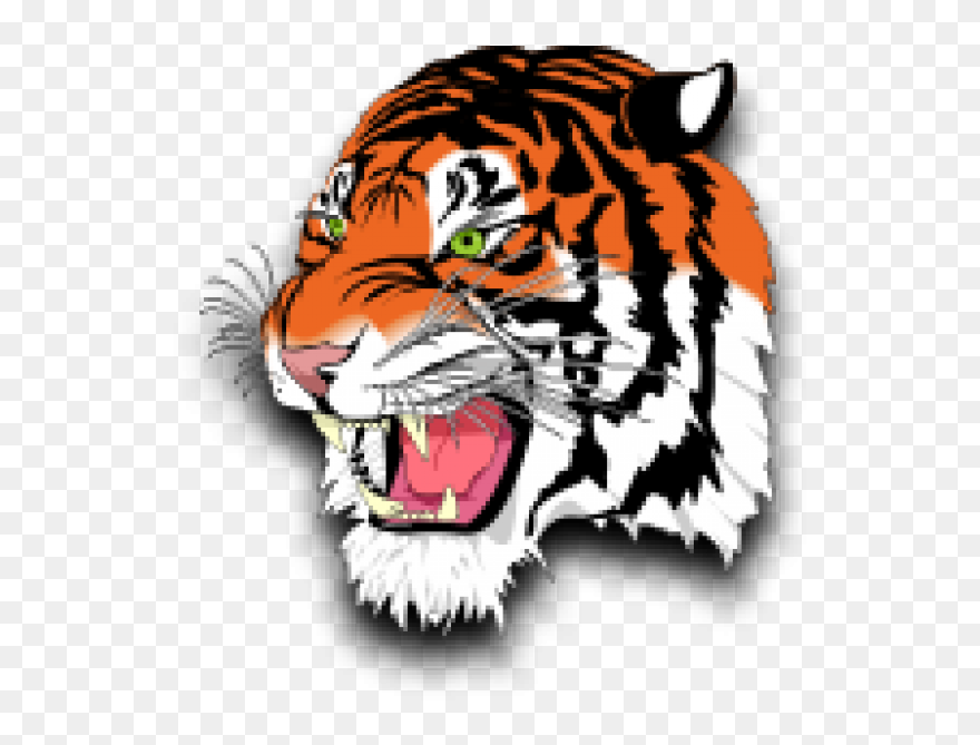 Tiger Reading A Book Clipart Clip Library Stock Description - Lynn Tech Tigers - Png Download