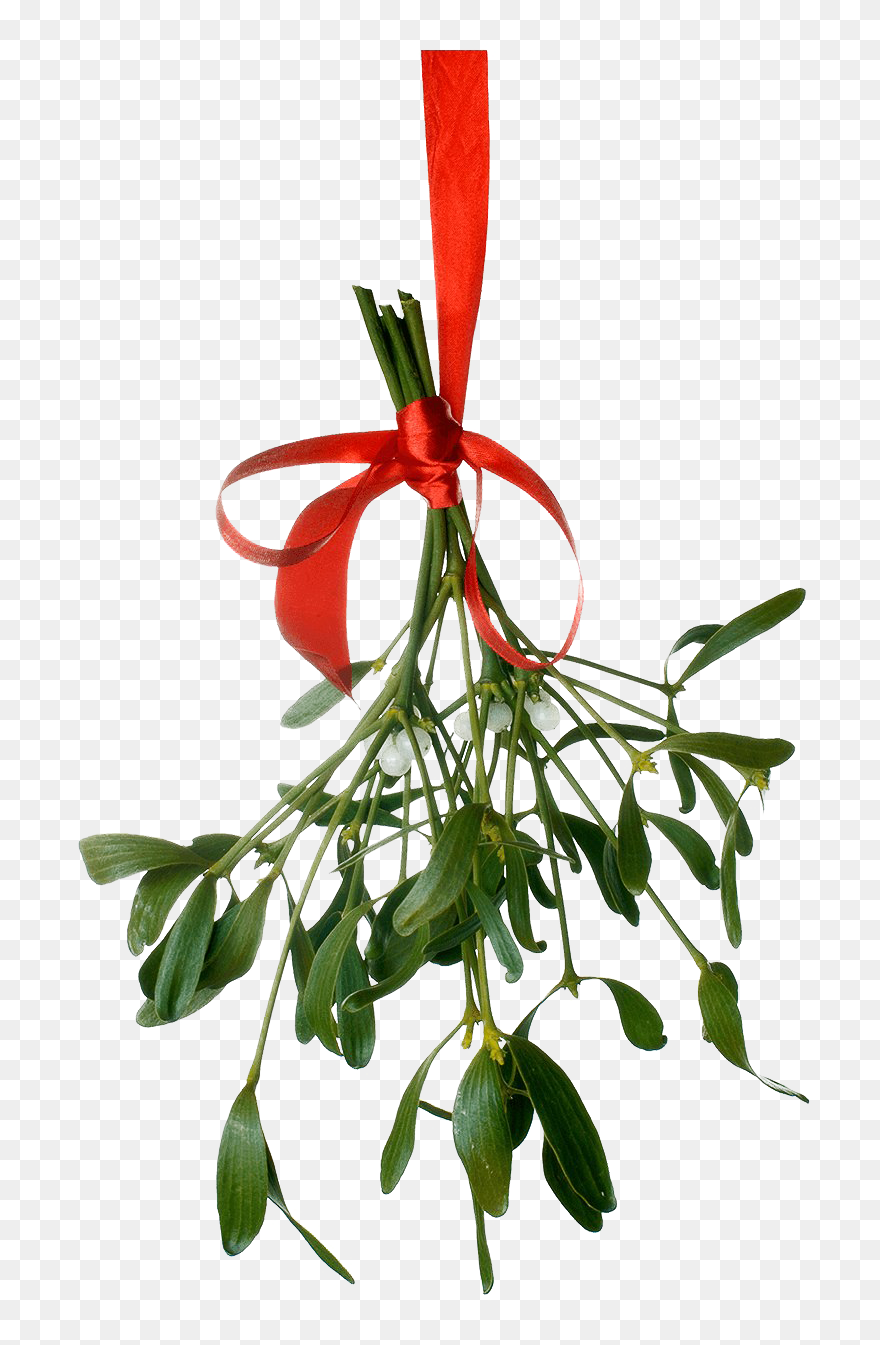 Mistletoe Png Clipart - Luke Bryan Merry Christmas Transparent Png