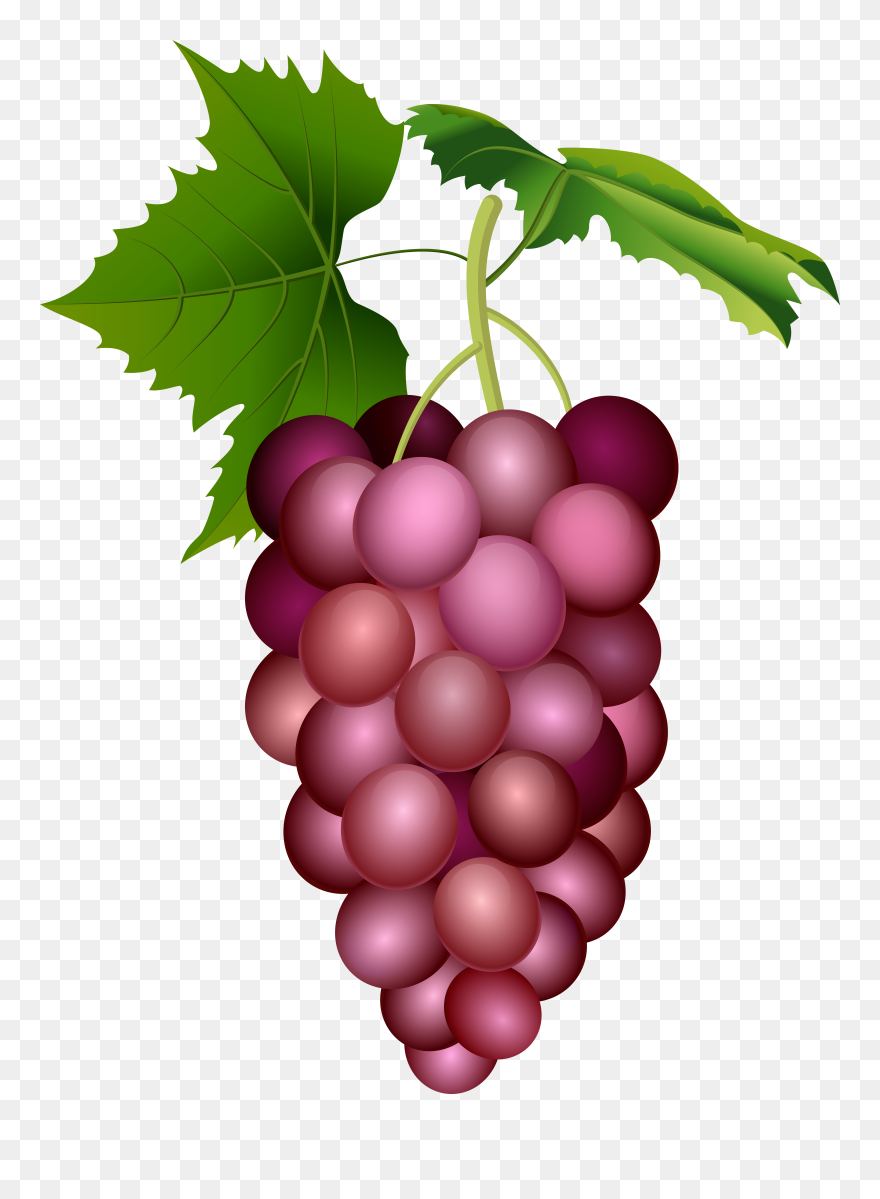 Red Grape Clipart - Png Download