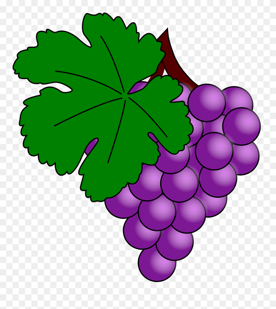 Grapes Clip Art - Png Download