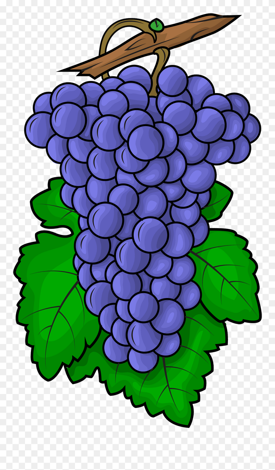 Grape Clipart