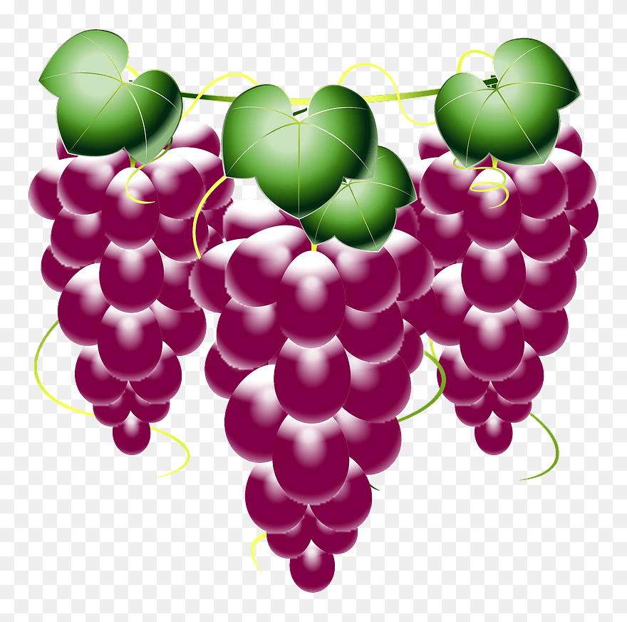 Grape Food Fruit Clipart - Seedless Fruit - Png Download