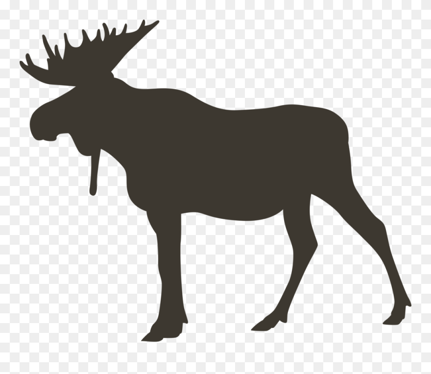 Moose Clipart