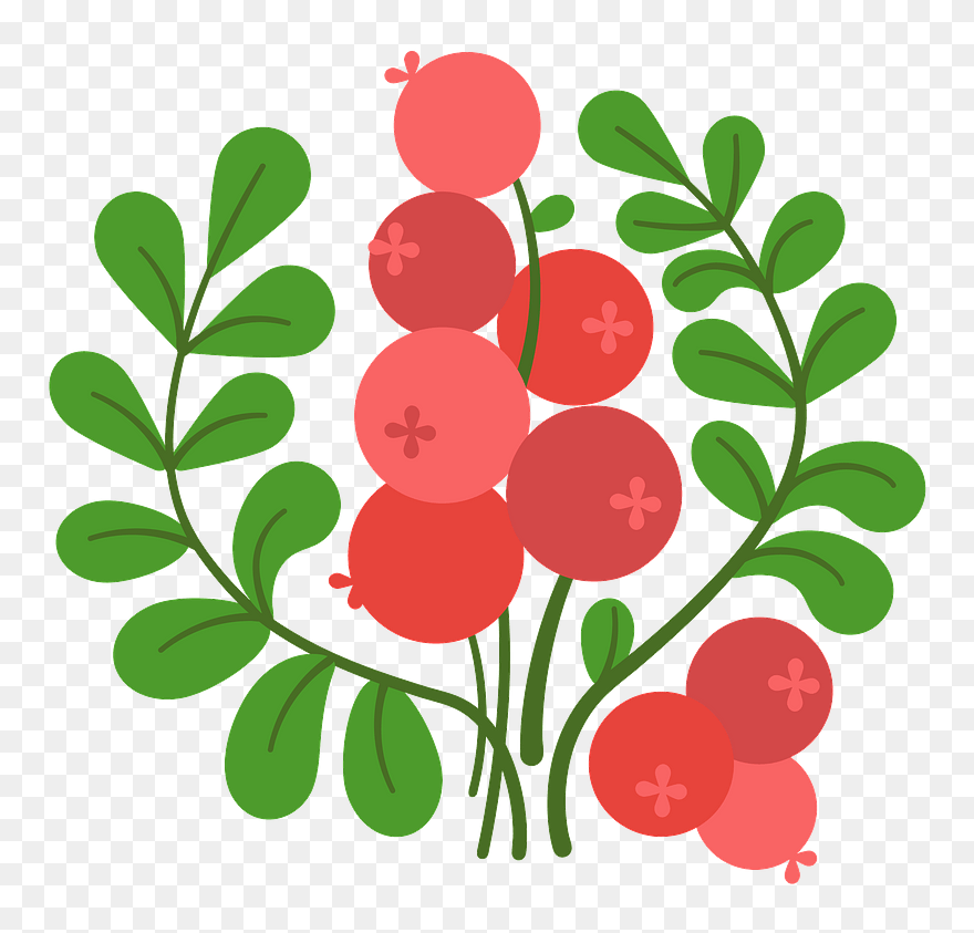 Clip Art - Png Download