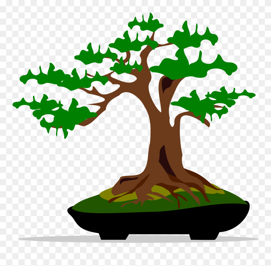 Bonsai Tree Clipart - Cartoon Bonsai Tree Png Transparent Png