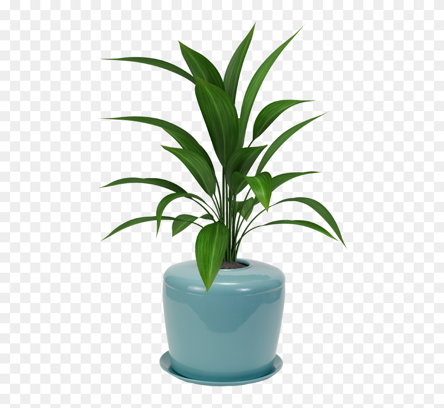 Bonsai Urn Ceramic Cremation Urn For A Bonsai Tree Clipart