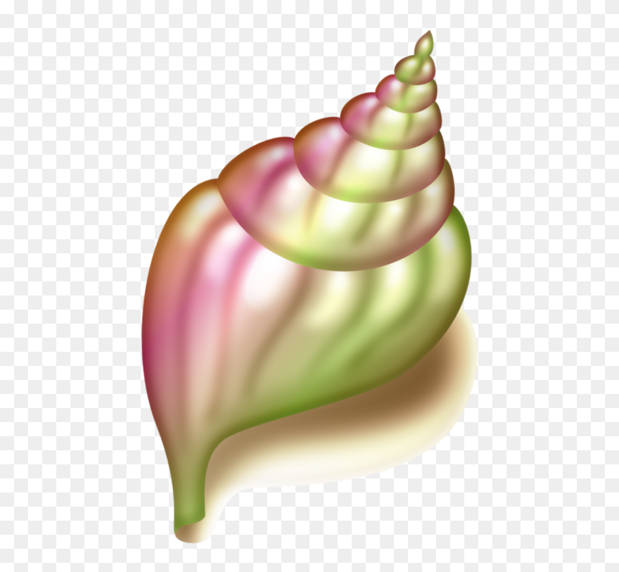 Seashell Conch Clip Art - Fundo Do Mar Png Transparent Png