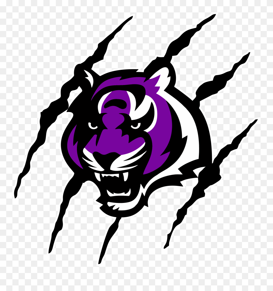 Cincinnati Bengals Png Clipart
